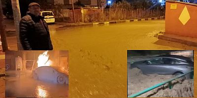 Otomobil dereye düştü, elektrikli otomobil alev aldı