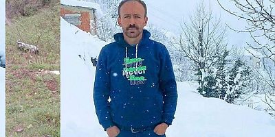 Otomobil fındık bahçesine yuvarlandı: 1 ölü