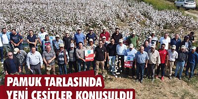 Pamuk tarlasında yeni çeşitler konuşuldu