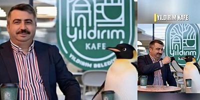 Penguen sürüden ayrılırken belediyeler boş durmadı