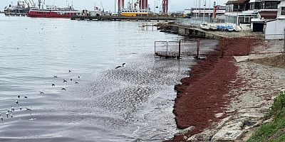 Poyraz sahili kırmızıya boyadı