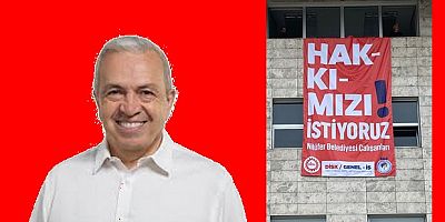 Quo Vadis Başkan Şadi?