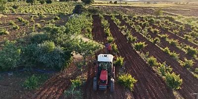 Şafak vakti çiftçiler tarlalara akın ediyor