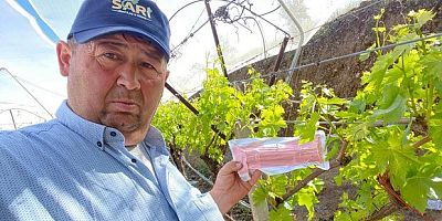 Sarıgöl Ovası'nda 