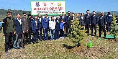 Şehit Cengiz Yiğit anısına hatıra ormanı