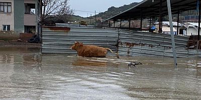 Şiddetli yağışlar Kula’da taşkınlara yol açtı