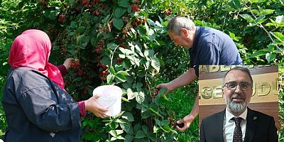 Sırbistan modeliyle Kestel'de üretim