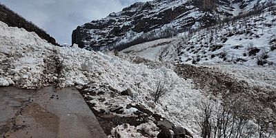 Şırnak'a son dönemlerin en büyük çığı düştü