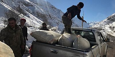 Şırnak'tan yem desteği