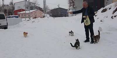 Sokak hayvanları için köyü terk etmiyor