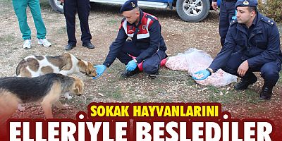 Sokak hayvanlarını elleriyle beslediler