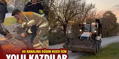 Su kanalına düşen kuzu için yolu kazdılar