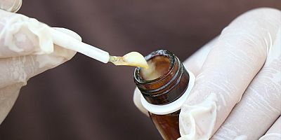 'Süper gıda' arı sütü mercek atında