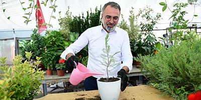 Süs bitkileri dünya pazarına açılıyor