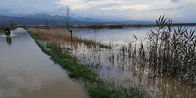 Tarım arazileri göle döndü
