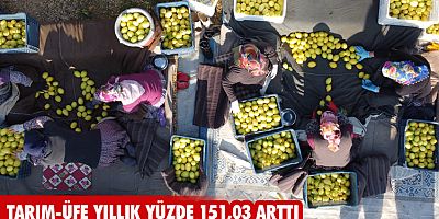 Tarım-ÜFE yıllık yüzde 151,03 arttı
