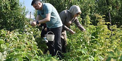 Tarladan sofraya kadın eli