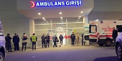 Tartıştığını eşini silahla vurup öldürdü