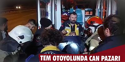 TEM otoyolunda can pazarı yaşandı