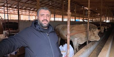 Tonluk 'Paşa' 500 bin lira