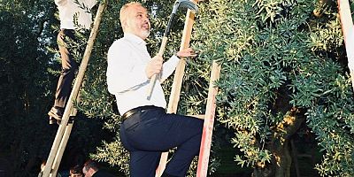 Toprak, Büyükşehir’le bereketleniyor