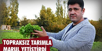 Topraksız tarımla marul yetiştirdi