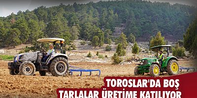Toroslar'da boş tarlalar üretime katılıyor