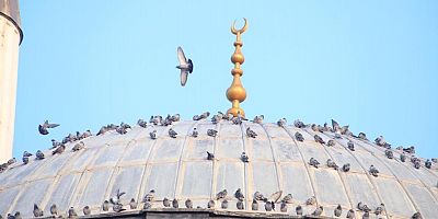 Türkiye’nin ilk asansörlü camisi güvercinleri ağırladı