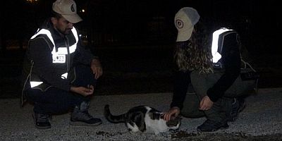Uşak polisi sokak hayvanlarını unutmadı