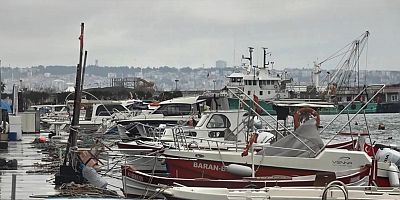 Uyanık lüfer Karadeniz zekasını kullandı