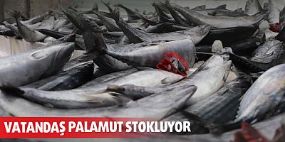 Vatandaş palamut stokluyor