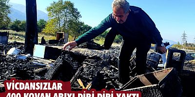 Vicdansızlar 400 kovan arıyı diri diri yaktı