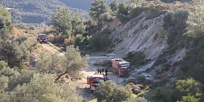 Yangında 2 hektar zarar gördü