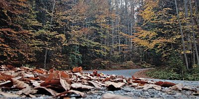 Yedigöller’de sonbahar