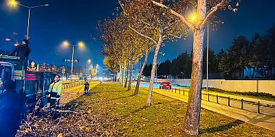 Yeşil Bursa kışa hazırlanıyor; Ağaçlar bakıma alındı