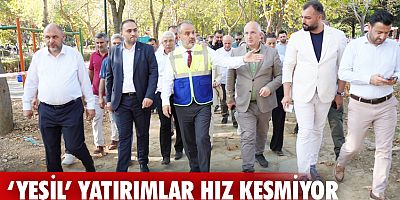 ‘Yeşil’ yatırımlar hız kesmiyor