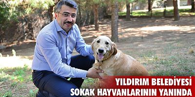 Yıldırım Belediyesi sokak hayvanlarının yanında