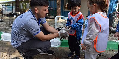 Yıldırım’da sokak hayvanları emin ellerde