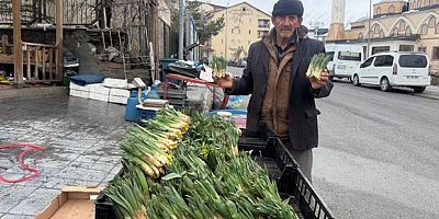 Yılın ilk pancarları tezgâhlarda