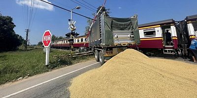 Yolcu treni kamyonu biçti