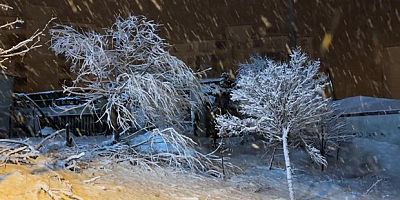 Yüksekova’da nisan karı