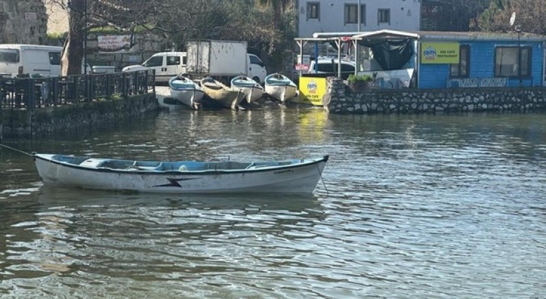 Uluabat Gölü'nde Turna bolluğu
