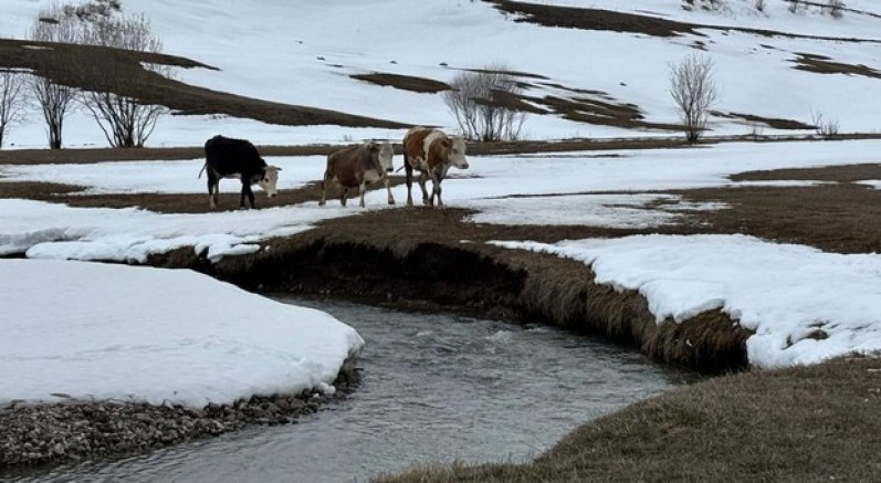 Uzayan kış, hayvancılığı vurdu