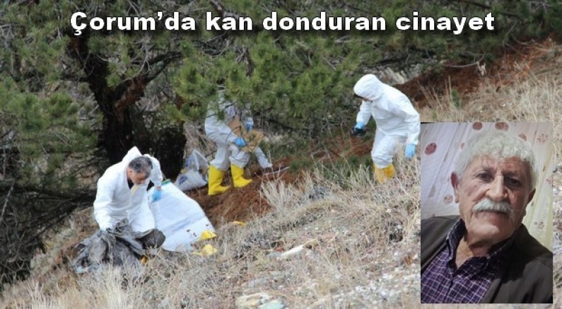 Yaşlı adamın cesedi parçalanmış halde bulundu