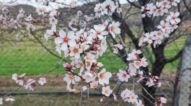 Yozgat'ta bahar tablosu