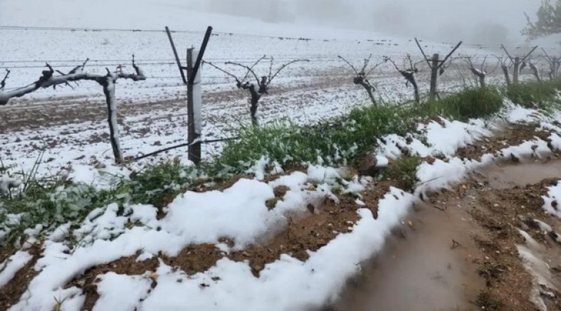 Yüksek kesimlerde ani hava değişimi üreticiyi zorladı