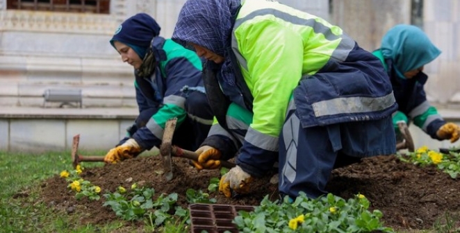 Bursa kışın da çiçek bahçesine dönüşüyor
