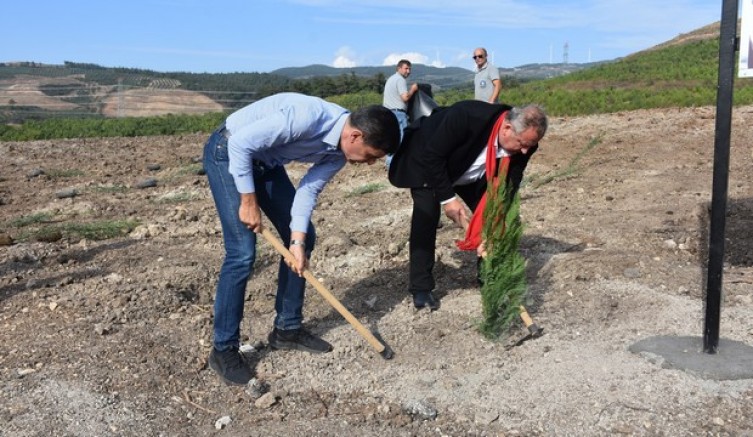 100. YIL HATIRA ORMANI