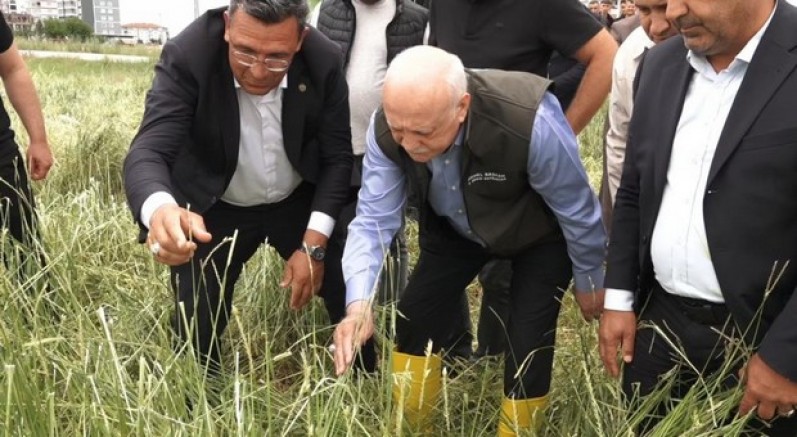 14 bin dekarın üzerinde hasar var