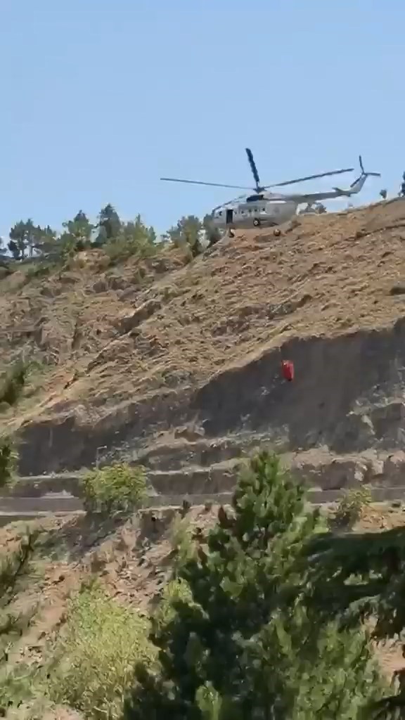 Elazığ’da yangına havadan müdahale başladı